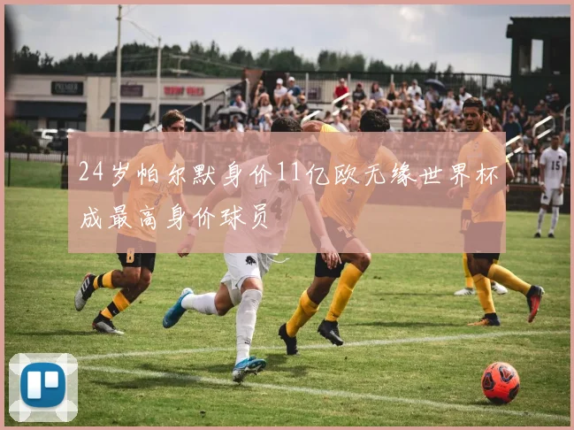 24岁帕尔默身价11亿欧无缘世界杯成最高身价球员