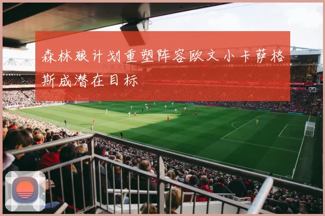 森林狼计划重塑阵容欧文小卡萨格斯成潜在目标